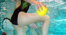 aquaris schwimmschule innsbruck