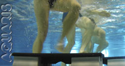 aquaris schwimmschule innsbruck