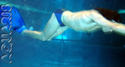aquaris schwimmschule innsbruck