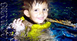 Eltern Kind Schwimmen Fortgeschrittene aquaris schwimmschule innsbruck