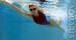 Schwimmen für Masters aquaris schwimmschule innsbruck