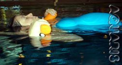 Schwimmen f&uuml;r Schwangere aquaris schwimmschule innsbruck